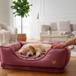 AURÉA in piuma d'oca - immagine 2